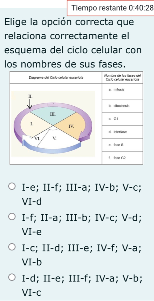 Tiempo restante 0:40:28
Elige la opción correcta que
relaciona correctamente el
esquema del ciclo celular con
los nombres de sus fases.
Diagrama del Ciclo celular eucariota Nombre de las fases del
Ciclo celular eucariota
a. mitosis
II.
b. citocinesis
III.
c. G1
I. IV.
d. interfase
VI V
e. fase S
f. fase G2
I-e; II-f; III-a; IV-b; V-c
VI-d
I-f; II-a; III-b; IV-c; V-d;
VI-e
I-C :; II-d; III-e; IV-f ; V-a;
VI - b
I-d; II-e; III-f; IV-a; V -b D;
VI-c