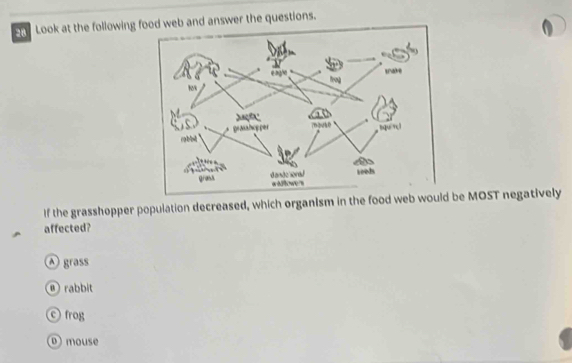 Look at the following f web and answer the questions.
If the grasshopper population decreased, which organism in the food web woul be MOST negatively
affected?
A grass
⑪rabbit
frog
mouse