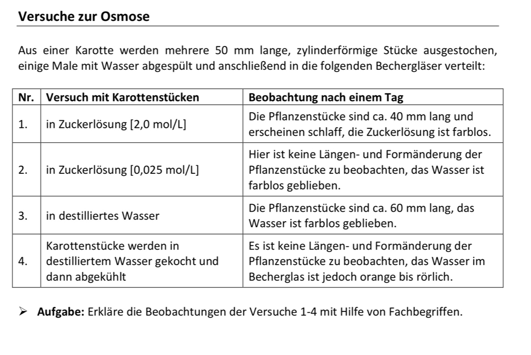 Versuche zur Osmose 
Aus einer Karotte werden mehrere 50 mm lange, zylinderförmige Stücke ausgestochen, 
einige Male mit Wasser abgespült und anschließend in die folgenden Bechergläser verteilt: 
Aufgabe: Erkläre die Beobachtungen der Versuche 1-4 mit Hilfe von Fachbegriffen.