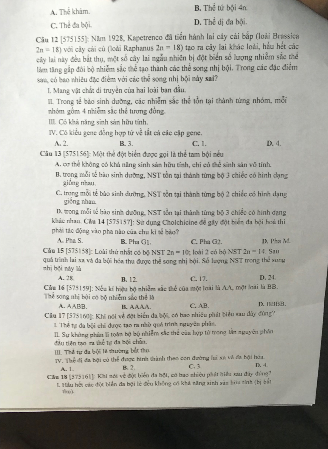 A. Thể khảm.
B. Thể tứ bội 4n.
C. Thể đa bội. D. Thể dị đa bội.
Câu 12 [575155]: Năm 1928, Kapetrenco đã tiến hành lai cây cải bắp (loài Brassica
2n=18) với cây cải củ (loài Raphanus 2n=18) tạo ra cây lai khác loài, hầu hết các
cây lai này đều bất thụ, một số cây lai ngẫu nhiên bị đột biến số lượng nhiễm sắc thể
làm tăng gắp đôi bộ nhiễm sắc thể tạo thành các thể song nhị bội. Trong các đặc điểm
sau, có bao nhiêu đặc điểm với các thể song nhị bội này sai?
I. Mang vật chất di truyền của hai loài ban đầu.
II. Trong tế bào sinh dưỡng, các nhiễm sắc thể tồn tại thành từng nhóm, mỗi
nhóm gồm 4 nhiễm sắc thể tương đồng.
III. Có khả năng sinh sản hữu tính.
IV. Có kiều gene đồng hợp từ về tất cả các cặp gene.
A. 2. B. 3. C. 1. D. 4.
Câu 13 [575156]: Một thể đột biến được gọi là thể tam bội nếu
A. cơ thể không có khả năng sinh sản hữu tính, chi có thể sinh sản vô tính.
B. trong mỗi tế bào sinh dưỡng, NST tồn tại thành từng bộ 3 chiếc có hình dạng
giống nhau.
C. trong mỗi tế bào sinh dưỡng, NST tồn tại thành từng bộ 2 chiếc có hình dạng
giống nhau.
D. trong mỗi tế bào sinh dưỡng, NST tồn tại thành từng bộ 3 chiếc có hình dạng
khác nhau. Câu 14 [575157]: Sử dụng Cholchicine đề gây đột biển đa bội hoá thì
phải tác động vào pha nào của chu kì tế bào?
A. Pha S. B. Pha G1. C. Pha G2. D. Pha M.
Câu 15 [575158]: Loài thứ nhất có bộ NST 2n=10; loài 2 có bộ NST 2n=14. Sau
quả trình lai xa và đa bội hóa thu được thể song nhị bội. Số lượng NST trong thể song
nhị bội này là
A. 28. B. 12. C. 17. D. 24.
Câu 16 [575159]: Nếu kí hiệu bộ nhiễm sắc thể của một loài là AA, một loài là BB.
Thể song nhị bội có bộ nhiễm sắc thể là
A. AABB. B. AAAA. C. AB. D. BBBB.
Câu 17 [575160]: Khì nói về đột biển đa bội, có bao nhiêu phát biểu sau đây đúng?
I. Thể tự đa bội chỉ được tạo ra nhờ quá trình nguyên phân.
II. Sự không phân li toàn bộ bộ nhiễm sắc thể của hợp tử trong lần nguyên phân
đầu tiên tạo ra thể tự đa bội chẵn.
III. Thể tự đa bội lẻ thường bất thụ.
IV. Thể dị đa bội có thể được hình thành theo con đường lai xa và đa bội hóa.
A. 1. B. 2. C. 3. D. 4.
Câu 18 [575161]: Khì nói về đột biển đa bội, có bao nhiêu phát biểu sau đây đúng?
I. Hầu hết các đột biến đa bội lẻ đều không có khả năng sinh sản hữu tính (bị bắt
thụ).