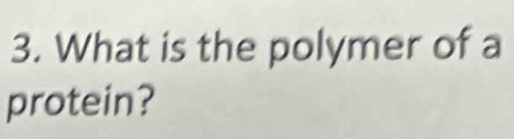 What is the polymer of a 
protein?