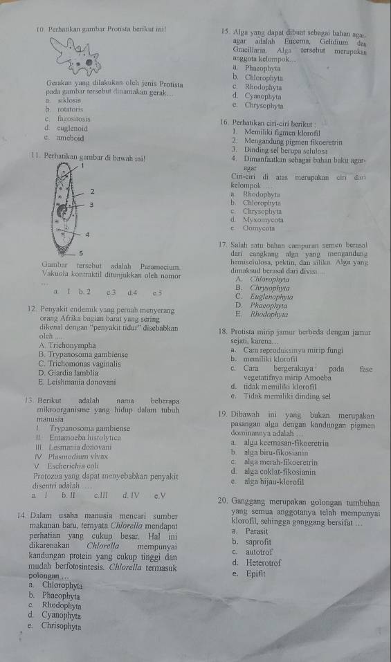 Perhatikan gambar Protista berikut ini! 15. Alga yang dapat dibuat sebagai bahan agar.
agar adalah Eucema, Gelidium dan
Gracillaria. Alga tersebut merupakas
anggota kelompok...
a Phacophyta
b. Chlorophyta
Gerakan yang dilakukan olch jenis Protista c. Rhodophyta
pada gambar tersebut dinamakan gerak….. d. Cyanophyta
a siklosis e. Chrysophyta
b rotatoris
c fagositosis 16. Perhatikan ciri-ciri berikut
d. cuglenoid 1. Memiliki figmen klorofil
c ameboid 2. Mengandung pigmen fikoeretrin
3. Dinding sel berupa selulosa
11. Perhatikan gambar di bawah ini! 4. Dimanfaatkan sebagai bahan baku agar-
agar
Ciri-ciri di atas merupakan ciri dar
kelompok
a Rhodophyta
h. Chlorophyta
c Chrysophyta
d Myxomycota
e. Oomycota
17. Salah satu bahan campuran semen berasal
dari cangkang alga yang mengandung
Gambar tersebut adalah Paramecium hemiselulosa, pektin, dan silika. Alga yang
Vakuola kontraktil ditunjukkan oleh nomor dimaksud berasal dari divisi
A. Chlorophyta
B. Chrysophyta
a. 1 b. 2 c.3 d.4 c 5 C. Euglenophyta
D. Phaeophyta
12. Penyakit endemik yang pernah menyerang E. Rhodophyta
orang Afrika bagian barat yang sering
dikenal dengan “penyakit tidur” disebabkan 18. Protista mirip jamur berbeda dengan jamur
olch ..--
A. Trichonympha sejati, karena.
B. Trypanosoma gambiense a. Cara reproduksinya mirip fungi
C. Trichomonas vaginalis b. memiliki klorofil
D. Giardia Iamblia c. Cara bergeraknya pada fase
vegetatifnya mirip Amoeba
E. Leishmania donovani d. tidak memiliki klorofil
13. Berikut adalah nama beberapa e. Tidak memiliki dinding sel
mikroorganisme yang hidup dalam tubuh 19. Dibawah ini yang bukan merupakan
manusia pasangan alga dengan kandungan pigmen! Trypanosoma gambiense
II Entamocba histolótica dominannya adalah 
III. Lesmania donovani a alga keemasan-fikoeretrin
IV Plasmodium vivax b. alga biru-fikosianin
V Escherichia coli c. alga merah-fikoeretrin
Protozoa yang dapat menyebabkan penyakit d.  alga coklat-fikosianin
disentri adalah e alga hijau-klorofil
a. l b. Ⅱ c.III d. IV c.V 20. Ganggang merupakan golongan tumbuhan
yang semua anggotanya telah mempunyai
14. Dalam usaha manusia mencari sumber klorofil, sehingga ganggang bersifat ...
makanan baru, ternyata Chlorella mendapat
perhatian yang cukup besar. Hal ini a. Parasit
dikarenakan Chlorella mempunyai b. saprofit
kandungan protein yang cukup tinggi dan c. autotrof
mudah berfotosintesis. Chlorello termasuk d. Heterotrof
polongan . e. Epifit
a. Chlorophyta
b. Phaeophyta
c. Rhodophyta
d. Cyanophyta
e. Chrisophyta