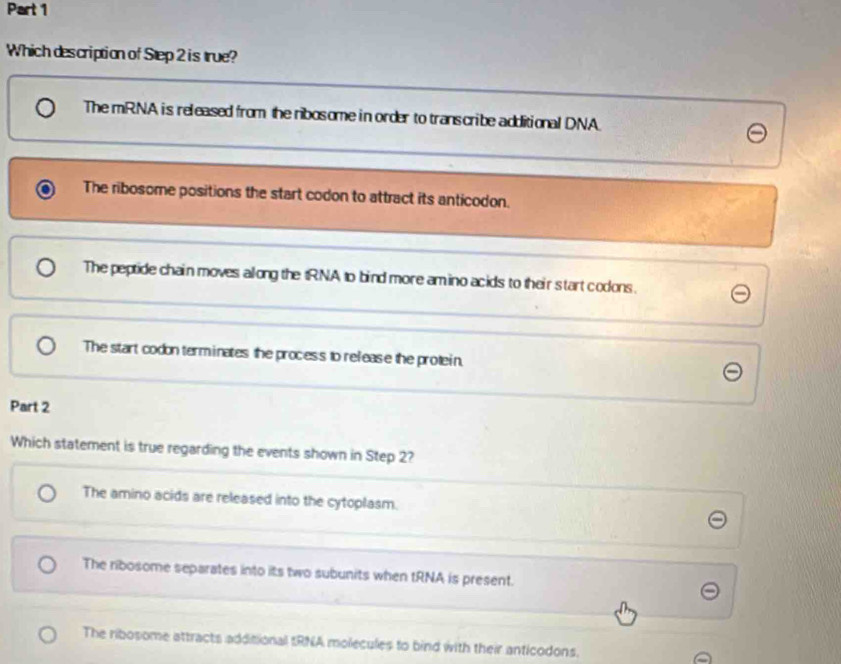 Which description of Step 2 is true?
The mRNA is released from the ribosome in order to transcribe additional DNA
The ribosome positions the start codon to attract its anticodon.
The peptide chain moves allong the tRNA to bind more amino acids to their start codons.
The start codon term inates the process to release the protein.
Part 2
Which statement is true regarding the events shown in Step 2?
The amino acids are released into the cytoplasm.
The ribosome separates into its two subunits when tRNA is present.
The ribosome attracts additional tRNA molecules to bind with their anticodons.