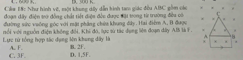 C. 600 K. D. 300 K.
Câu 18: Như hình vẽ, một khung dây dẫn hình tam giác đều ABC gồm các × × × ×
đoạn dây điện trở đồng chất tiết diện đều được đặt trong từ trường đều có
c
× × × ×
đường sức vuông góc với mặt phẳng chứa khung dây. Hai điểm A, B được
nối với nguồn điện không đồi. Khi đó, lực từ tác dụng lên đoạn dây AB là F. × x x
Lực từ tồng hợp tác dụng lên khung dây là
A B
× × ×
A. F. B. 2F.
C. 3F. D. 1,5F.