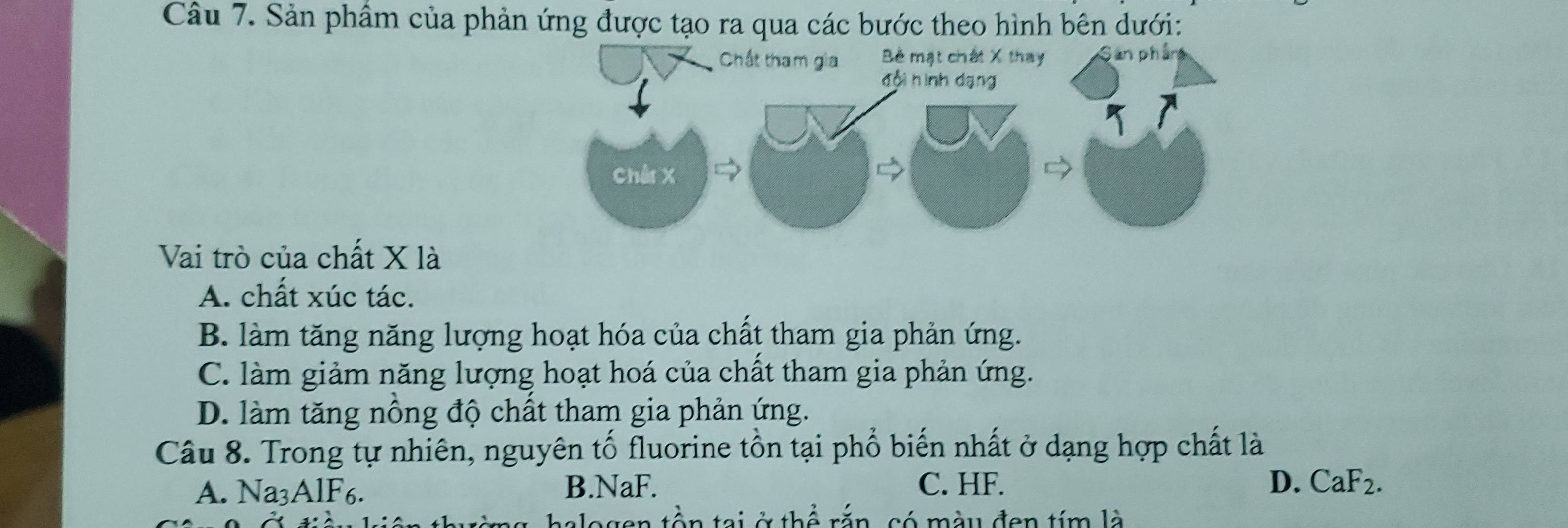 Sản phẩm của phản ứng được tạo ra qua các bước theo hình bên dưới:
Vai trò của chất X là
A. chất xúc tác.
B. làm tăng năng lượng hoạt hóa của chất tham gia phản ứng.
C. làm giảm năng lượng hoạt hoá của chất tham gia phản ứng.
D. làm tăng nông độ chất tham gia phản ứng.
Câu 8. Trong tự nhiên, nguyên tố fluorine tồn tại phổ biến nhất ở dạng hợp chất là
A. Na_3AlF_6. B. NaF. C. HF. D. CaF2.
aalogen tồn tại ở thể rắn, có mày đen tím là