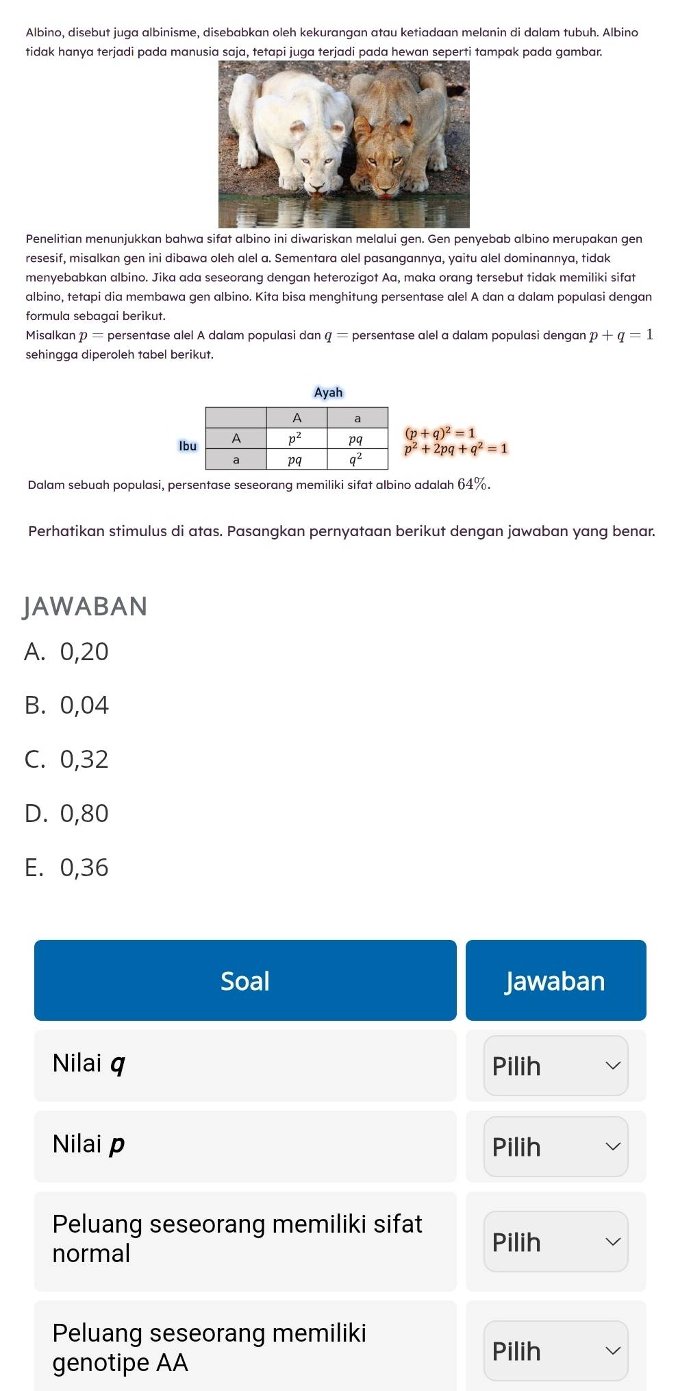 Albino, disebut juga albinisme, disebabkan oleh kekurangan atau ketiadaan melanin di dalam tubuh. Albino
tidak hanya terjadi pada manusia saja, tetapi juga terjadi pada hewan seperti tampak pada gambar.
Penelitian menunjukkan bahwa sifat albino ini diwariskan melalui gen. Gen penyebab albino merupakan gen
resesif, misalkan gen ini dibawa oleh alel a. Sementara alel pasangannya, yaitu alel dominannya, tidak
menyebabkan albino. Jika ada seseorang dengan heterozigot Aa, maka orang tersebut tidak memiliki sifat
albino, tetapi dia membawa gen albino. Kita bisa menghitung persentase alel A dan a dalam populasi dengan
formula sebagai berikut.
Misalkan p = persentase alel A dalam populasi dan q = persentase alel a dalam populasi dengan p+q=1
sehingga diperoleh tabel berikut.
Ayah
l (p+q)^2=1
p^2+2pq+q^2=1
Dalam sebuah populasi, persentase seseorang memiliki sifat albino adalah 64%.
Perhatikan stimulus di atas. Pasangkan pernyataan berikut dengan jawaban yang benan
JAWABAN
A. 0,20
B. 0,04
C. 0,32
D. 0,80
E. 0,36
Soal Jawaban
Nilai q Pilih
Nilai p Pilih
Peluang seseorang memiliki sifat
normal
Pilih
Peluang seseorang memiliki
genotipe AA
Pilih
