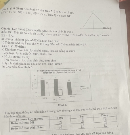 Cận 5: (1,0 điễm) Cho hình vẽ như hình 5. Biết MN=17cm.
MO=15cm, NO=8cm, MP=25cm. Tính độ đài cạnh NP. 
Câu 6: (1,25 điễm) Cho tam giác ABC cận ở A có M là trung 
điểm BC. Trên tia đổi của tia BC lây N sao cho BN = BM. Trên tia đổi của tỉa BA lấy E sao cho
BE=BA
a) Chứng minh: tứ giác AMEN là hình bình hành. 
b) Trên tia AM lầy F sao cho M là trung điểm AF. Chứng minh: BE-BF. 
Câu 7: (1,25 điểm) 
a) Khi thăm vườn trái cây nhà bà ngoại, Hoa đã thống kê được: 
- Các loại cây ăn trái: Ôi, bưới, chuỗi, cam.. 
- Số cây ăn trái: 15 cây 
- Trải cam trên cây: chin, chín vừa, chưa chín. 
Hãy xác định đâu là dữ liệu định tính, định lượng? 
b) Cho biểu đồ ở Hình 6. 
ng kê biểu diễn số lượng huy chương các loại của đoàn thể thao Mỹ và Nhật 
o b à i là m. Sau đó, điền dữ liệu vào b