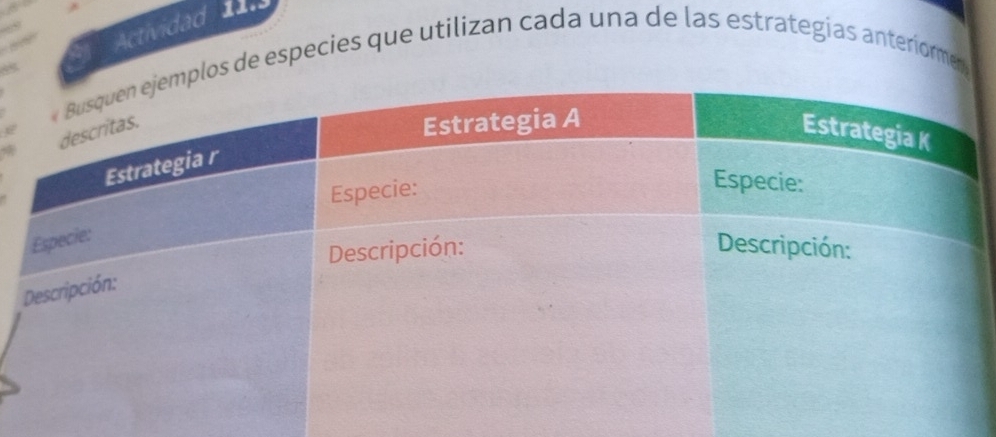 .4 
Actividad 11 
los de especies que utilizan cada una de las estrategias anteriormen