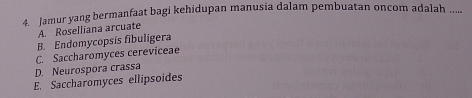 Jamur yang bermanfaat bagi kehidupan manusia dalam pembuatan oncom adalah .....
A Roselliana arcuate
B. Endomycopsis fibuligera
C. Saccharomyces cereviceae
D. Neurospora crassa
E. Saccharomyces ellipsoides