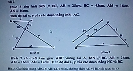 Hình 6 cho biết MNparallel BC, AB=25cm, BC=45cm, AM=16cm,
AN=10cm
Tính độ dài x, y của các đoạn thắng MN, AC

Hình 6 Hinh 7 
Hình 7 cho biết tam giác ABC vuờng tại A, MN//BC, AB=24cm,
AM=16cm, AN=12cm - Tính độ dài x, y của các đoạn thắng NC và BC
Bàt 3, Cho hình thang ABCD (AB//CD) có hai đường chéo AC và BD cất nhau tại O