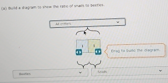 Build a diagram to show the ratio of snails to beeties. 
All crimers
1 1
Drag to build the diagram.
60505 Snails