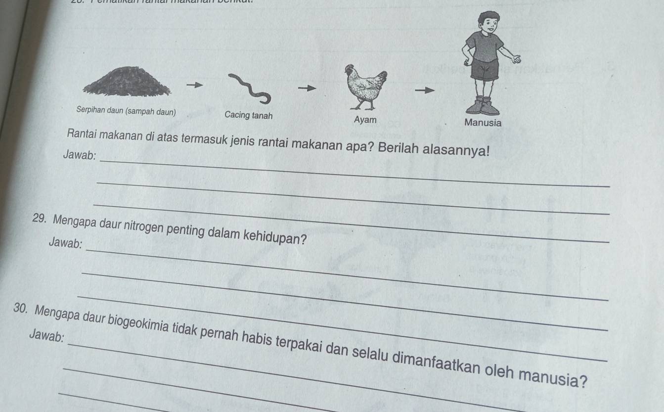 is rantai makanan apa? Berilah alasannya! 
Jawab: 
_ 
_ 
29. Mengapa daur nitrogen penting dalam kehidupan? 
Jawab: 
_ 
Jawab: 
_ 
_ 
_ 
30. Mengapa daur biogeokimia tidak pernah habis terpakai dan selalu dimanfaatkan oleh manusia?