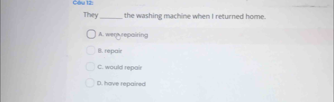 They_ the washing machine when I returned home.
A. were repairing
B. repair
C. would repair
D. have repaired