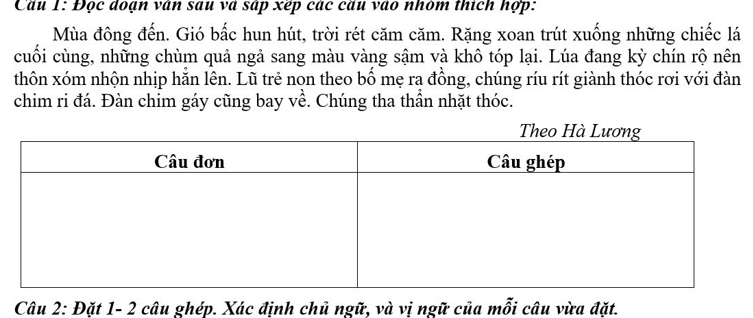 Cau 1: Đọc doạn van sau va sap xep các cau vào nhóm thích hợp: 
Mùa đông đến. Gió bắc hun hút, trời rét căm căm. Rặng xoan trút xuống những chiếc lá 
cuối cùng, những chùm quả ngả sang màu vàng sậm và khô tóp lại. Lúa đang kỳ chín rộ nên 
thôn xóm nhộn nhịp hằn lên. Lũ trẻ nọn theo bố mẹ ra đồng, chúng ríu rít giành thóc rơi với đàn 
chim ri đá. Đàn chim gáy cũng bay về. Chúng tha thần nhặt thóc. 
Câu 2: Đặt 1- 2 câu ghép. Xác định chủ ngữ, và vị ngữ của mỗi câu vừa đặt.