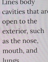 Lines body 
cavities that ar 
open to the 
exterior, such 
as the nose, 
mouth, and 
lunơs