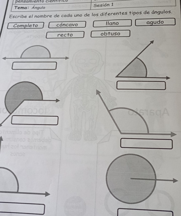 pensamiento cientítíco 
Tema: Ángulo Sesión 1 
Escribe el nombre de cada uno de los diferentes tipos de ángulos. 
Completo cóncavo Ilano agudo 
recto obtuso