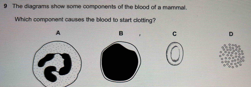 The diagrams show some components of the blood of a mammal. 
Which component causes the blood to start clotting? 
A 
B ' C D