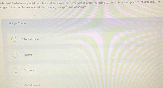 Which of the following facial muscles stretches from the lower portion of the mandible to the fascia of the upper chest, and pulls the
angle of the mouth downward during pouting or expression of horror?
Multiple Choice
Orbicularis oculi
Platysma
Buccinator
Orbicularis oris