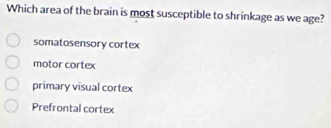 Which area of the brain is most susceptible to shrinkage as we age?
somatosensory cortex
motor cortex
primary visual cortex
Prefrontal cortex