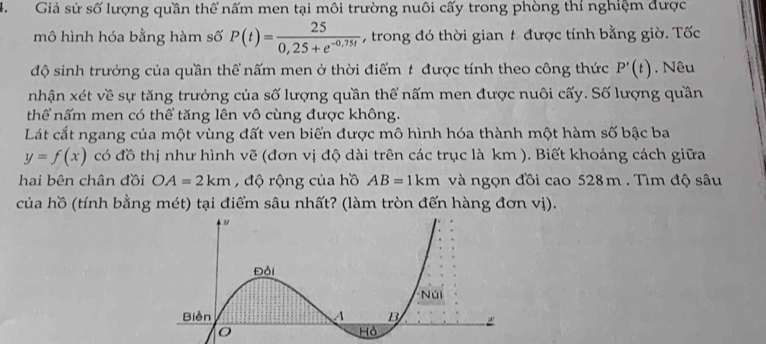 Giả sử số lượng quần thể nấm men tại môi trường nuôi cấy trong phòng thí nghiệm được 
mô hình hóa bằng hàm số P(t)= 25/0,25+e^(-0,75t)  , trong đó thời gian # được tính bằng giờ. Tốc 
độ sinh trưởng của quần thể nấm men ở thời điểm t được tính theo công thức P'(t) , Nêu 
nhận xét về sự tăng trưởng của số lượng quần thể nấm men được nuôi cấy. Số lượng quân 
thể nấm men có thể tăng lên vô cùng được không. 
Lát cắt ngang của một vùng đất ven biển được mô hình hóa thành một hàm số bậc ba
y=f(x) có đồ thị như hình vẽ (đơn vị độ dài trên các trục là km ). Biết khoảng cách giữa 
hai bên chân đồi OA=2km , độ rộng của hồ AB=1km và ngọn đồi cao 528m. Tìm độ sâu 
của hồ (tính bằng mét) tại điểm sâu nhất? (làm tròn đến hàng đơn vị).