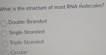 What is the structure of most RNA molecules?
Double-Stranded
Single-Stranded
Triple-Stranded
Circular