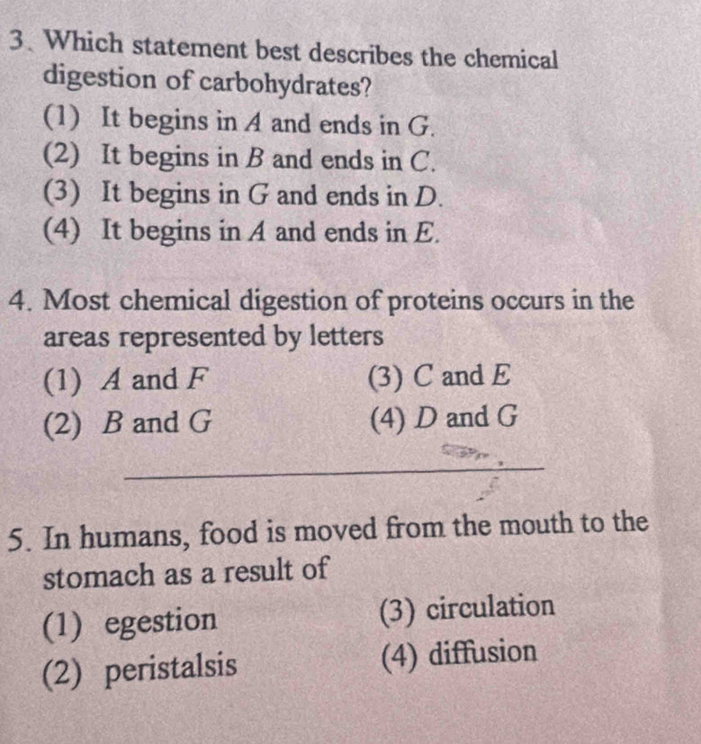 Which statement best describes the chemical
digestion of carbohydrates?
(1) It begins in A and ends in G.
(2) It begins in B and ends in C.
(3) It begins in G and ends in D.
(4) It begins in A and ends in E.
4. Most chemical digestion of proteins occurs in the
areas represented by letters
(1) A and F (3) C and E
(2) B and G (4) D and G
_
_
5. In humans, food is moved from the mouth to the
stomach as a result of
(1) egestion (3) circulation
(2) peristalsis (4) diffusion