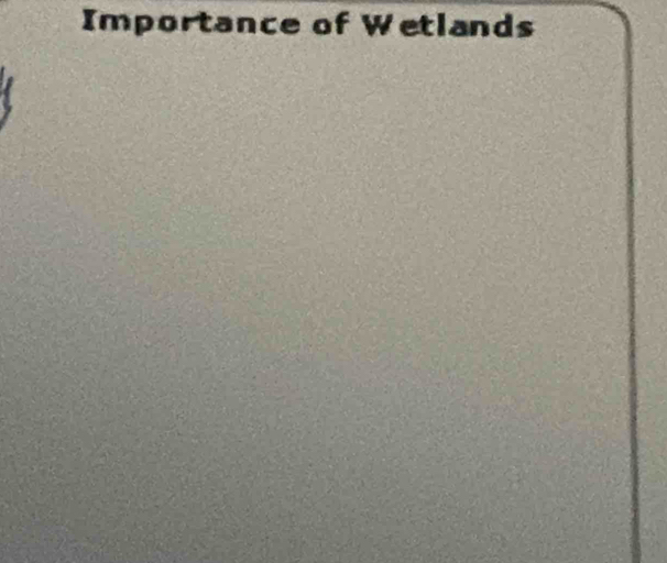 Importance of Wetlands