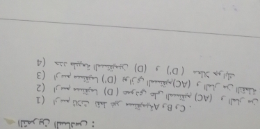 Ob) Ö a 
C BzAajn yê dïi S puej) (1 
e hall g (AC) prial| do s jo ( D) Ljria puy! (2 
ibéill ja jball 3 (AC)pgral| jj|gi (D') Lazenca pue! (3 
D') * 3 (D) Cjäell ánglo sin (4