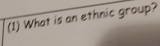 (1) What is an ethnic group?