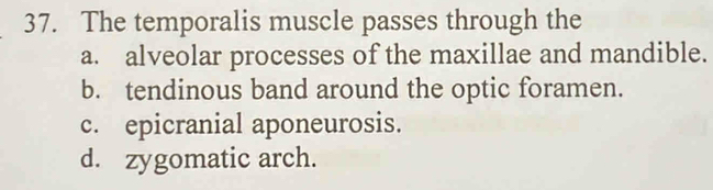 The temporalis muscle passes through the
a. alveolar processes of the maxillae and mandible.
b. tendinous band around the optic foramen.
c. epicranial aponeurosis.
d. zygomatic arch.