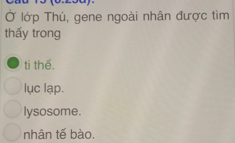 Ở lớp Thú, gene ngoài nhân được tìm
thấy trong
ti thể.
lục lạp.
lysosome.
nhân tế bào.