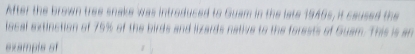 After the brown tree snake was introduced to Guam in the late 1946s, it caused the 
local extinction of 75% of the birds and lizards native to the forests of Guam. This is an 
exampls of