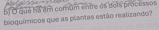 que há em comum entre os dois processos 
bioquímicos que as plantas estão realizando?