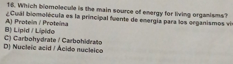 Which biomolecule is the main source of energy for living organisms?
¿Cuál biomolécula es la principal fuente de energía para los organismos viv
A) Protein / Proteína
B) Lipid / Lípido
C) Carbohydrate / Carbohidrato
D) Nucleic acid / Ácido nucleico