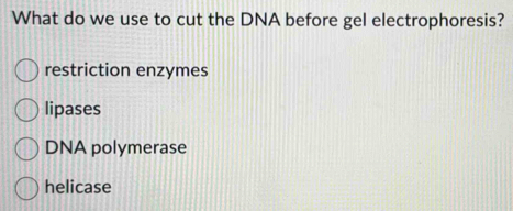 What do we use to cut the DNA before gel electrophoresis?
restriction enzymes
lipases
DNA polymerase
helicase