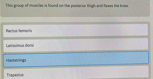 This group of muscles is found on the posterior thigh and flexes the knee.
Rectus femoris
Latissimus dorsi
Hamstrings
Trapezius