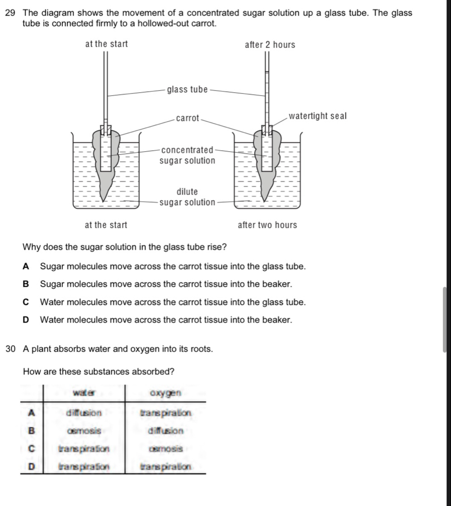 Solved: The diagram shows the movement of a concentrated sugar solution ...