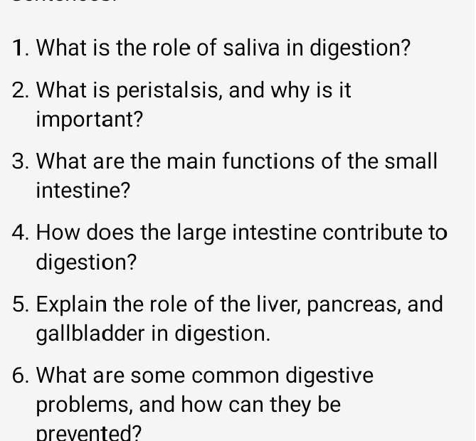 What is the role of saliva in digestion? 
2. What is peristalsis, and why is it 
important? 
3. What are the main functions of the small 
intestine? 
4. How does the large intestine contribute to 
digestion? 
5. Explain the role of the liver, pancreas, and 
gallbladder in digestion. 
6. What are some common digestive 
problems, and how can they be 
prevented?