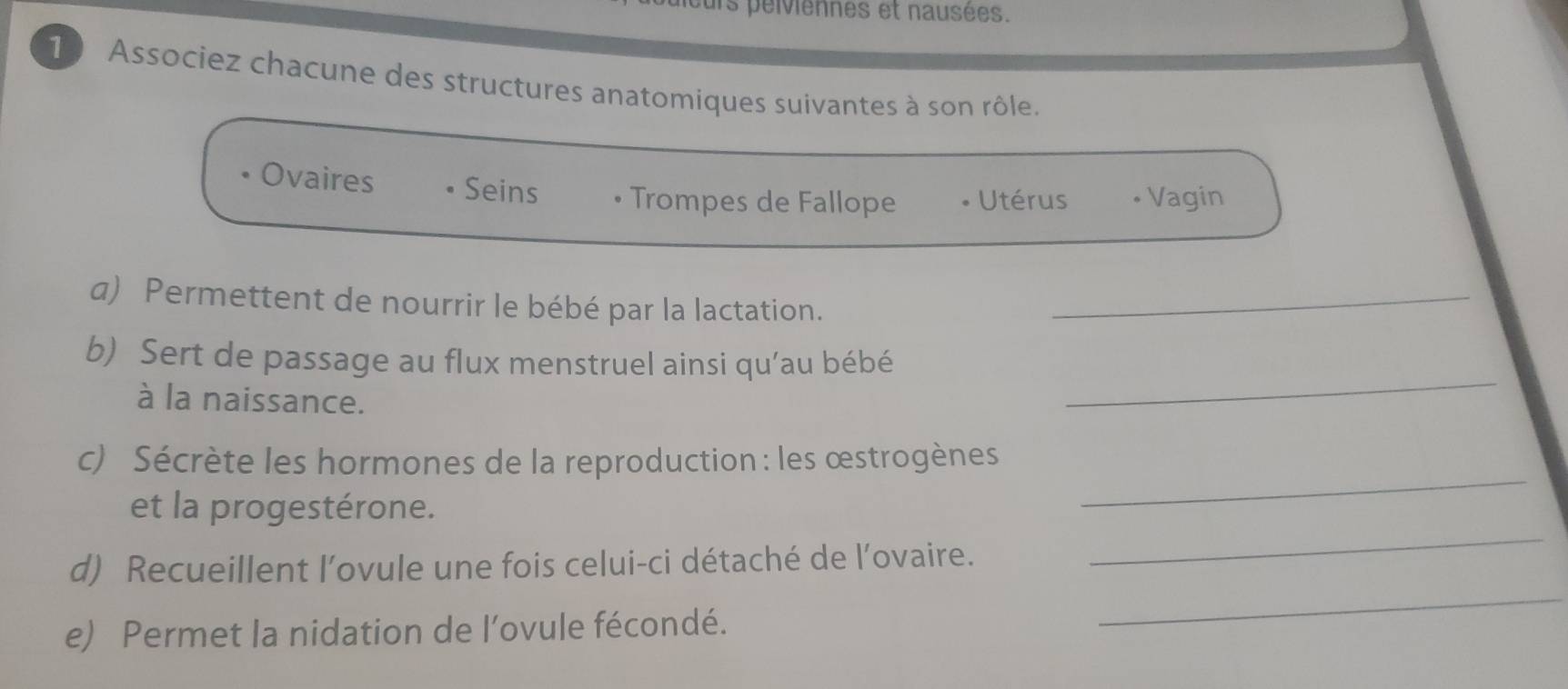 urs peiviennes et nausées. 
1 Associez chacune des structures anatomiques suivantes à son rôle. 
Ovaires Seins • Trompes de Fallope Utérus Vagin 
a) Permettent de nourrir le bébé par la lactation._ 
b) Sert de passage au flux menstruel ainsi qu’au bébé 
à la naissance. 
_ 
_ 
c) Sécrète les hormones de la reproduction : les œstrogènes 
_ 
et la progestérone. 
_ 
d) Recueillent l’ovule une fois celui-ci détaché de l'ovaire. 
e) Permet la nidation de l’ovule fécondé.