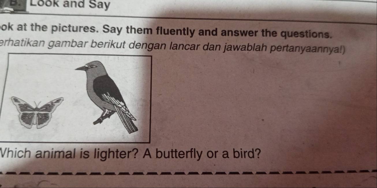 Look and Say 
ook at the pictures. Say them fluently and answer the questions. 
erhatikan gambar berikut dengan lancar dan jawablah pertanyaannya!) 
Which animal is lighter? A butterfly or a bird?