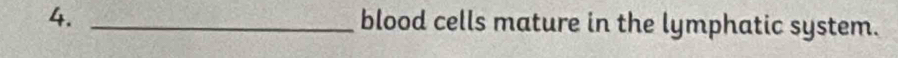 blood cells mature in the lymphatic system.