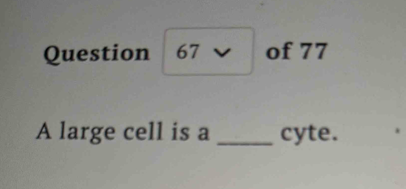 A large cell is a _cyte.