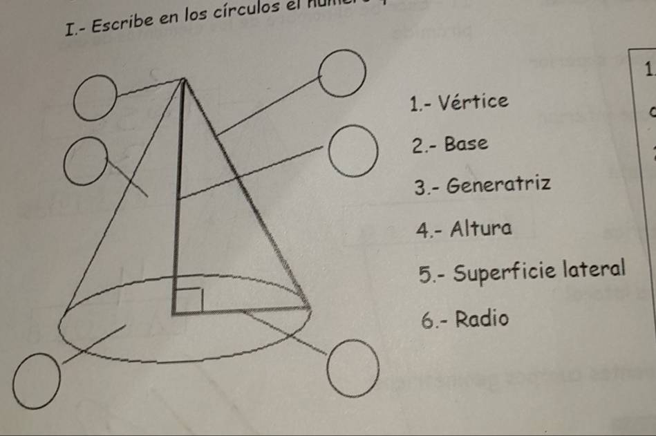 Escribe en los círculos el MuIII
1
- Vértice.- Base.- Generatriz.- Altura.- Superficie lateral
6.- Radio