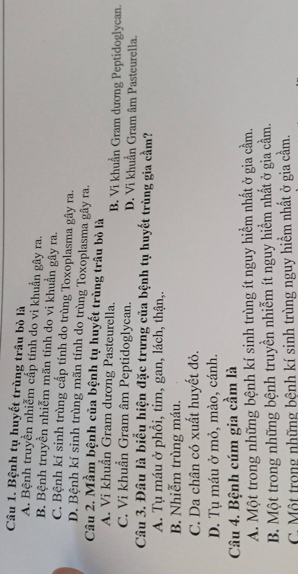 Bệnh tụ huyết trùng trâu bò là
A. Bệnh truyền nhiễm cấp tính do vi khuẩn gây ra.
B. Bệnh truyền nhiễm mãn tính do vi khuẩn gây ra.
C. Bệnh kí sinh trùng cấp tính do trùng Toxoplasma gây ra.
D. Bệnh kí sinh trùng mãn tính do trùng Toxoplasma gây ra.
Câu 2. Mầm bệnh của bệnh tụ huyết trùng trâu bò là
A. Vi khuẩn Gram dương Pasteurella. B. Vi khuẩn Gram dương Peptidoglycan.
C. Vi khuẩn Gram âm Peptidoglycan. D. Vi khuẩn Gram âm Pasteurella.
Câu 3. Đâu là biểu hiện đặc trưng của bệnh tụ huyết trùng gia cầm?
A. Tụ máu ở phổi, tim, gan, lách, thận,.
B. Nhiễm trùng máu.
C. Da chân có xuất huyết đỏ.
D. Tụ máu ở mỏ, mào, cánh.
Câu 4. Bệnh cúm gia cầm là
A. Một trong những bệnh kí sinh trùng ít nguy hiểm nhất ở gia cầm.
B. Một trong những bệnh truyền nhiễm ít nguy hiểm nhất ở gia cầm.
C. Một trong những bệnh kí sinh trùng nguy hiểm nhất ở gia cầm.