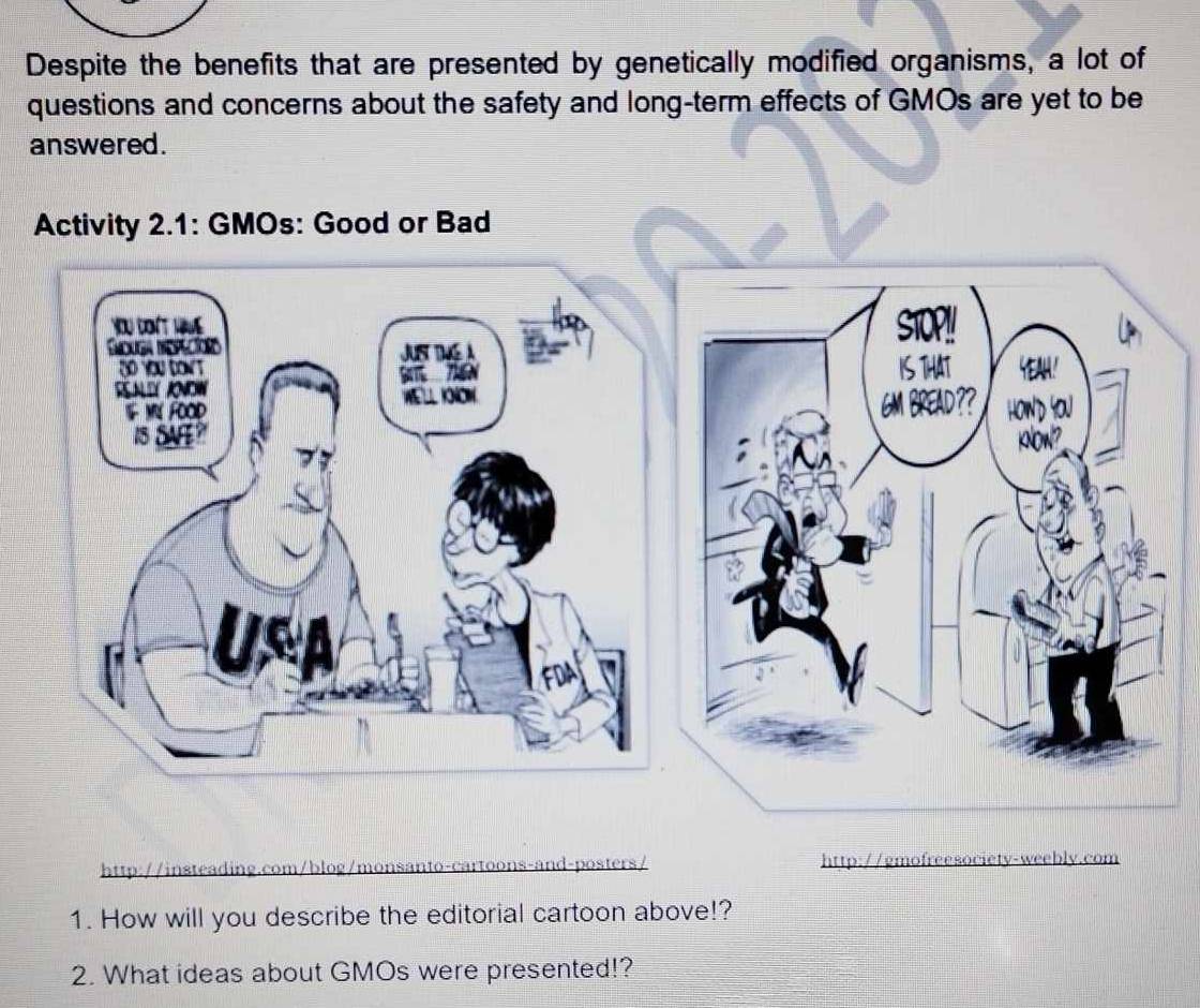 Despite the benefits that are presented by genetically modified organisms, a lot of 
questions and concerns about the safety and long-term effects of GMOs are yet to be 
answered. 
http://insteading.com/blog/monsanto-cartoons-and-posters/ http://gmofreesociety-weebly.com 
1. How will you describe the editorial cartoon above!? 
2. What ideas about GMOs were presented!?