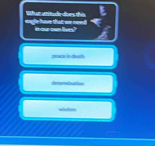 What attitudk does this
eagle have that we need
in curown lives?
peace in death
determination
wisdam