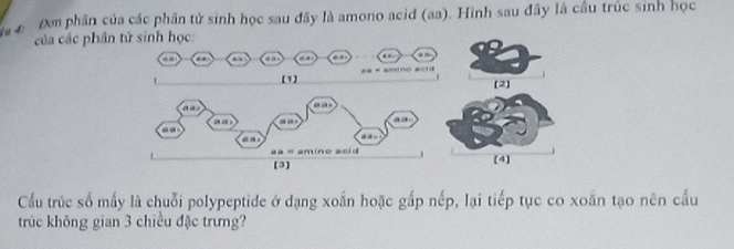 à c Đơm phân của các phân tử sinh học sau đây là amono acid (aa). Hình sau đây là cầu trúc sinh học 
của các phần tử sinh học 
, . a 
【1) == = amino arid 
(2] 
[4] 
Cầu trúc số mấy là chuỗi polypeptide ở dạng xoắn hoặc gấp nếp, lại tiếp tục co xoắn tạo nên cấu 
trúc không gian 3 chiều đặc trưng?