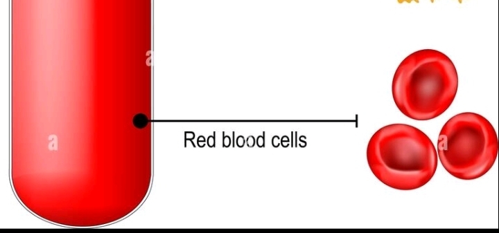 Red blood cells