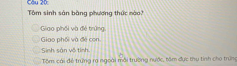 Tôm sinh sản bằng phương thức nào?
Giao phối và đẻ trứng.
Giao phối và đẻ con.
Sinh sản vô tính.
Tôm cái đẻ trứng ra ngoài môi trường nước, tôm đực thụ tinh cho trứng