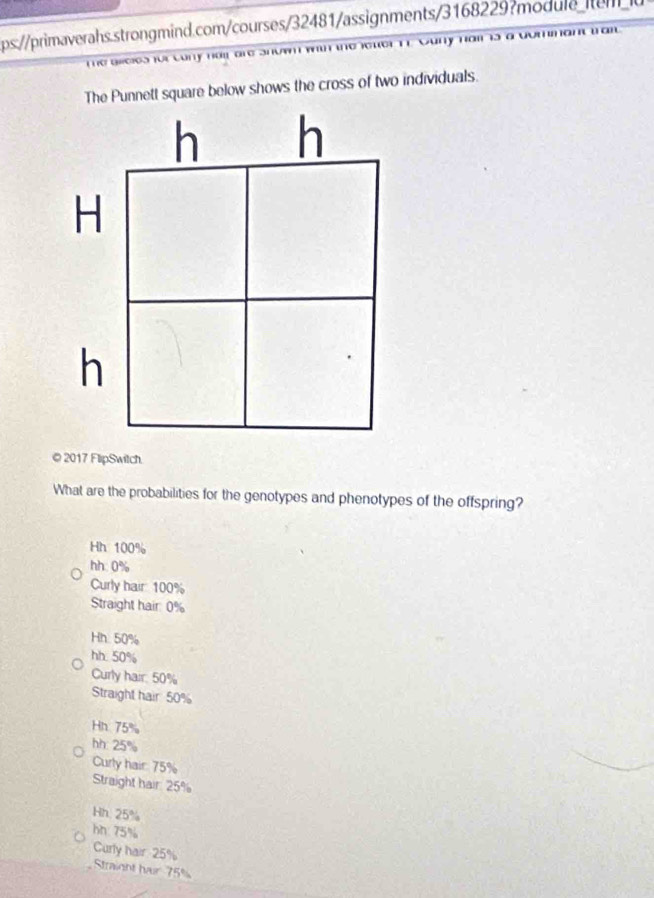 Ca y 
Tể bi0os füi côny hai dng shu o ' a 
The Punnett square below shows the cross of two individuals.
© 2017 FlipSwitch.
What are the probabilities for the genotypes and phenotypes of the offspring?
Hh 100%
hh: 0%
Curly hair: 100%
Straight hair: 0%
Hh 50%
hh. 50%
Curly hair: 50%
Straight hair 50%
Hh 75%
hh: 25%
Curly hair: 75%
Straight hair: 25%
Hh. 25%
hn 75%
Curly hair 25%
Straight har 75%